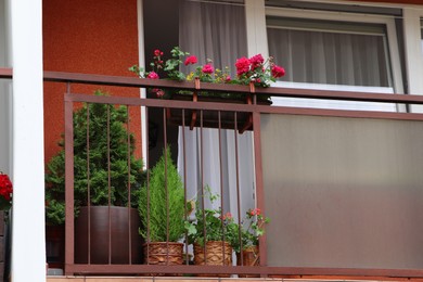 Balcony decorated with beautiful flowers and green plants