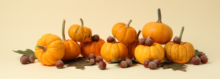 Photo of Thanksgiving day. Beautiful composition with pumpkins on beige background