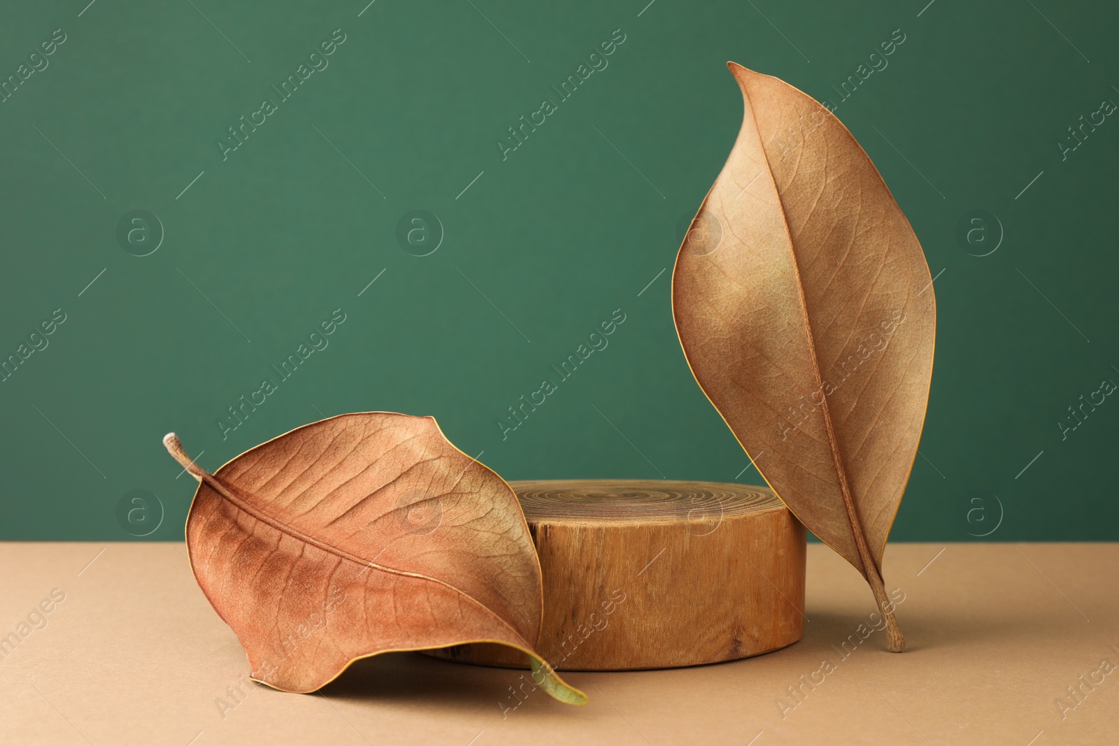 Photo of Presentation for product. Wooden podium and dry leaf on color background. Space for text