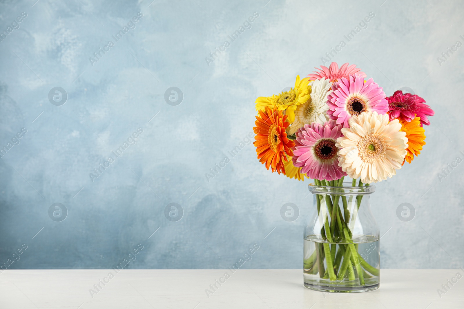 Photo of Bouquet of beautiful bright gerbera flowers in glass vase on table against color background. Space for text