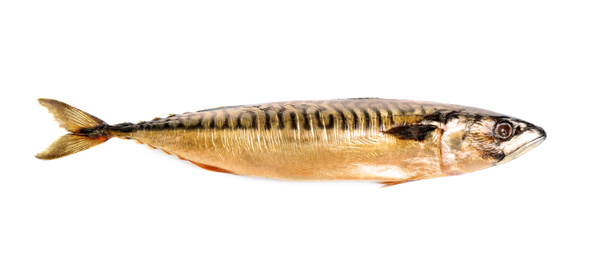 Photo of Tasty smoked mackerel fish isolated on white, top view
