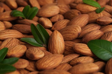 Many delicious almonds and fresh leaves as background, closeup