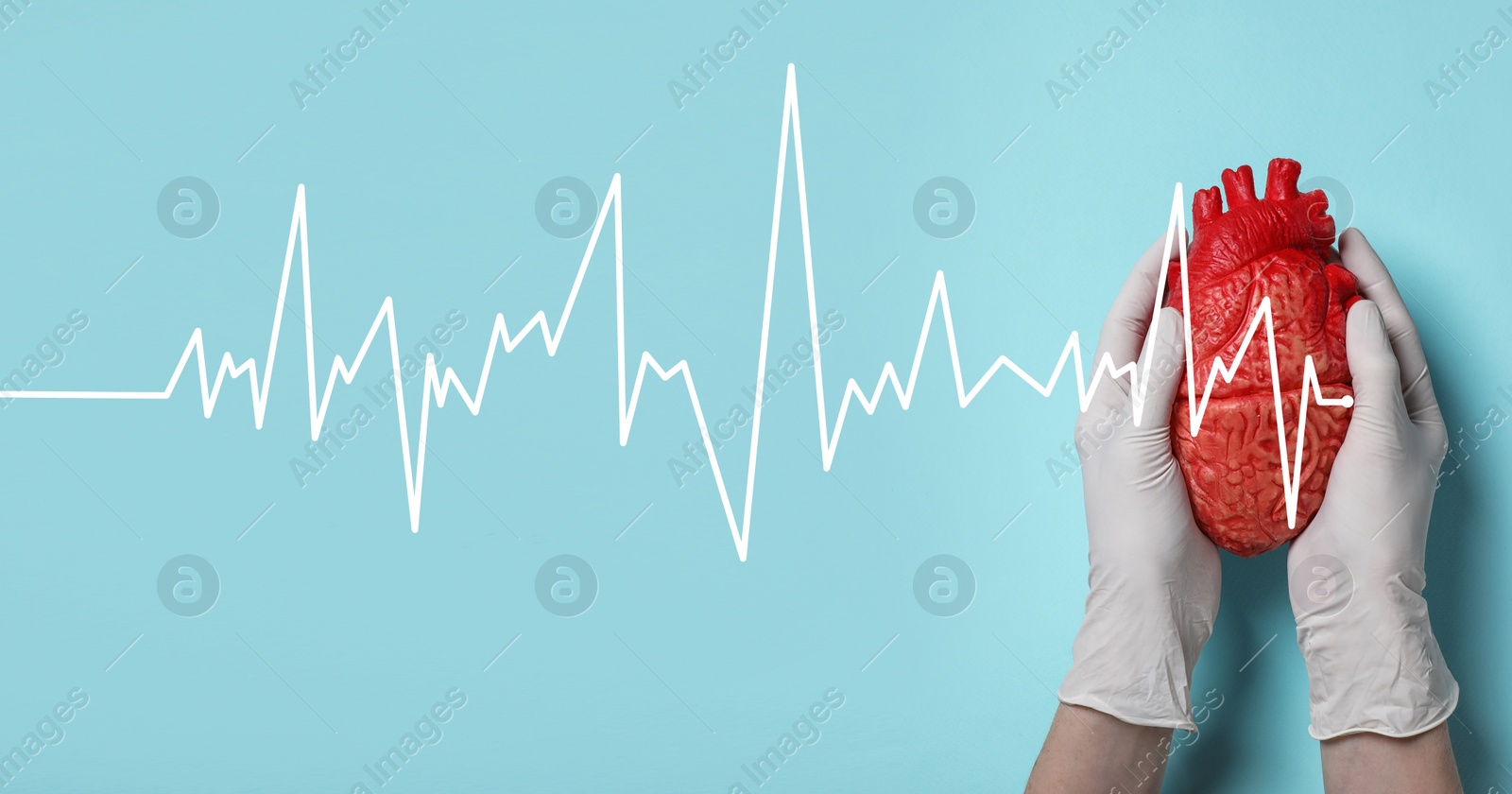 Image of Doctor holding heart model on light blue background, top view
