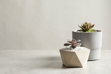 Photo of Beautiful succulent plants in stylish flowerpots on table against light background, space for text. Home decor