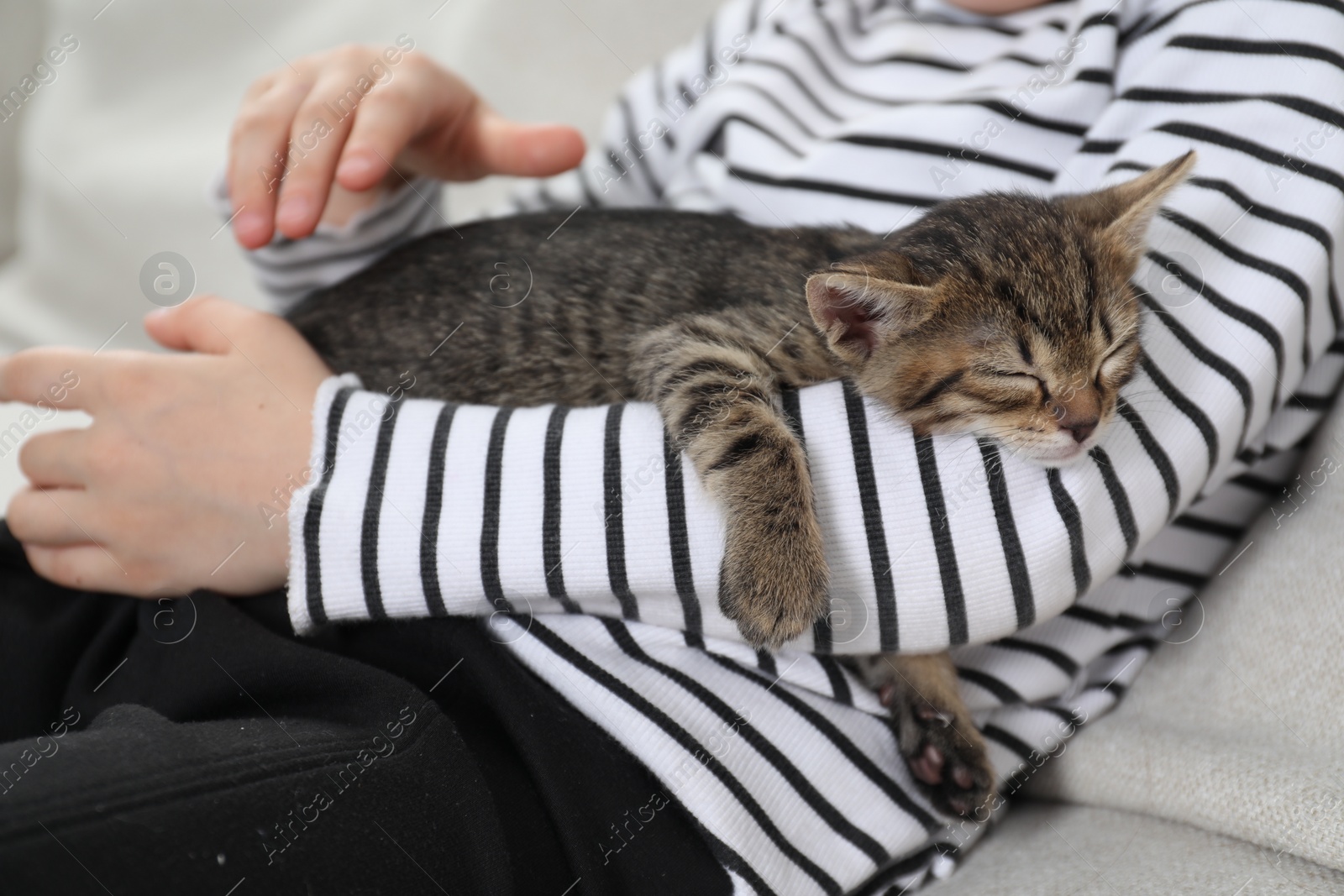 Photo of Little girl with fluffy kitten on sofa indoors, closeup