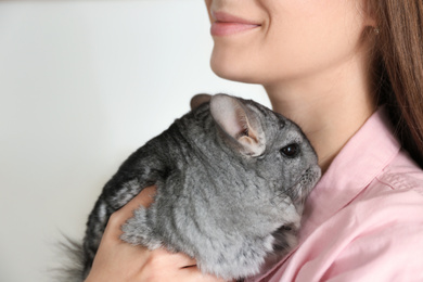 Photo of Woman holding cute chinchilla in room, closeup