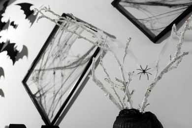Photo of Black frames with cobweb on white wall and branches in vase decorated for Halloween indoors