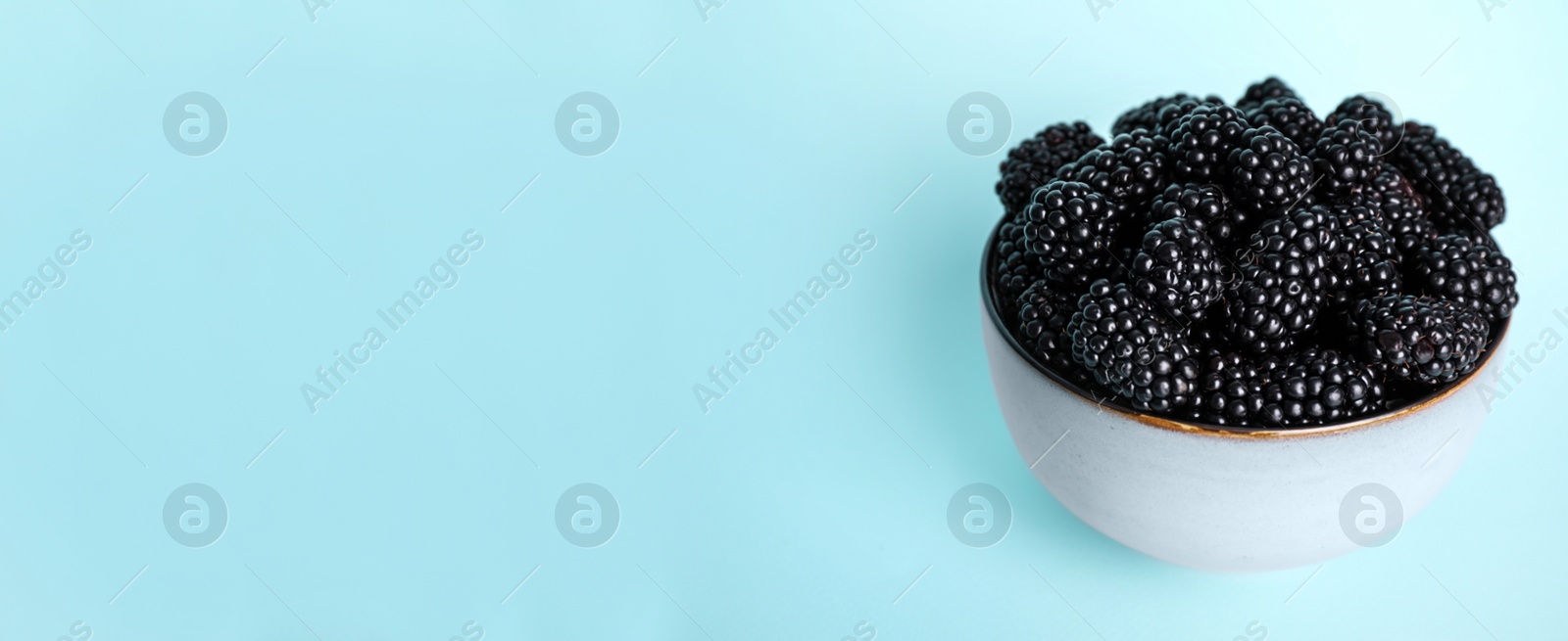 Photo of Fresh ripe blackberries in bowl on light blue background. Space for text