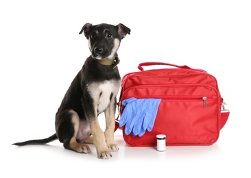 Cute puppy with first aid kit on white background