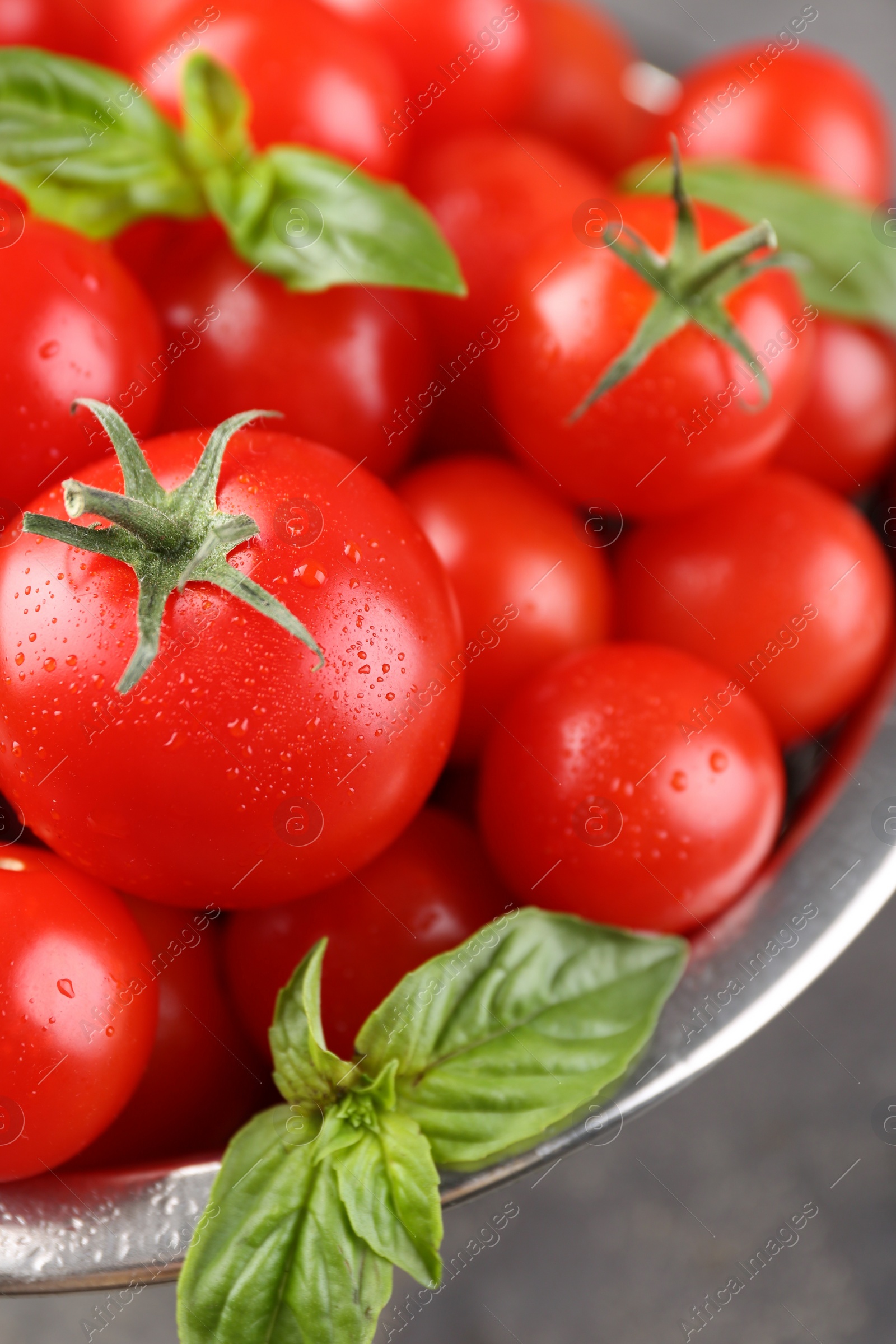 Photo of Fresh ripe tomatoes with water drops and basil leaves on grey table, closeup
