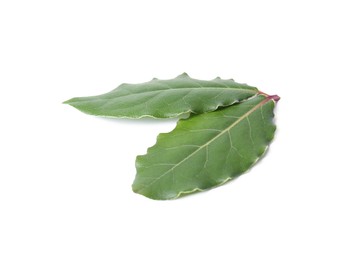 Photo of Two fresh bay leaves isolated on white