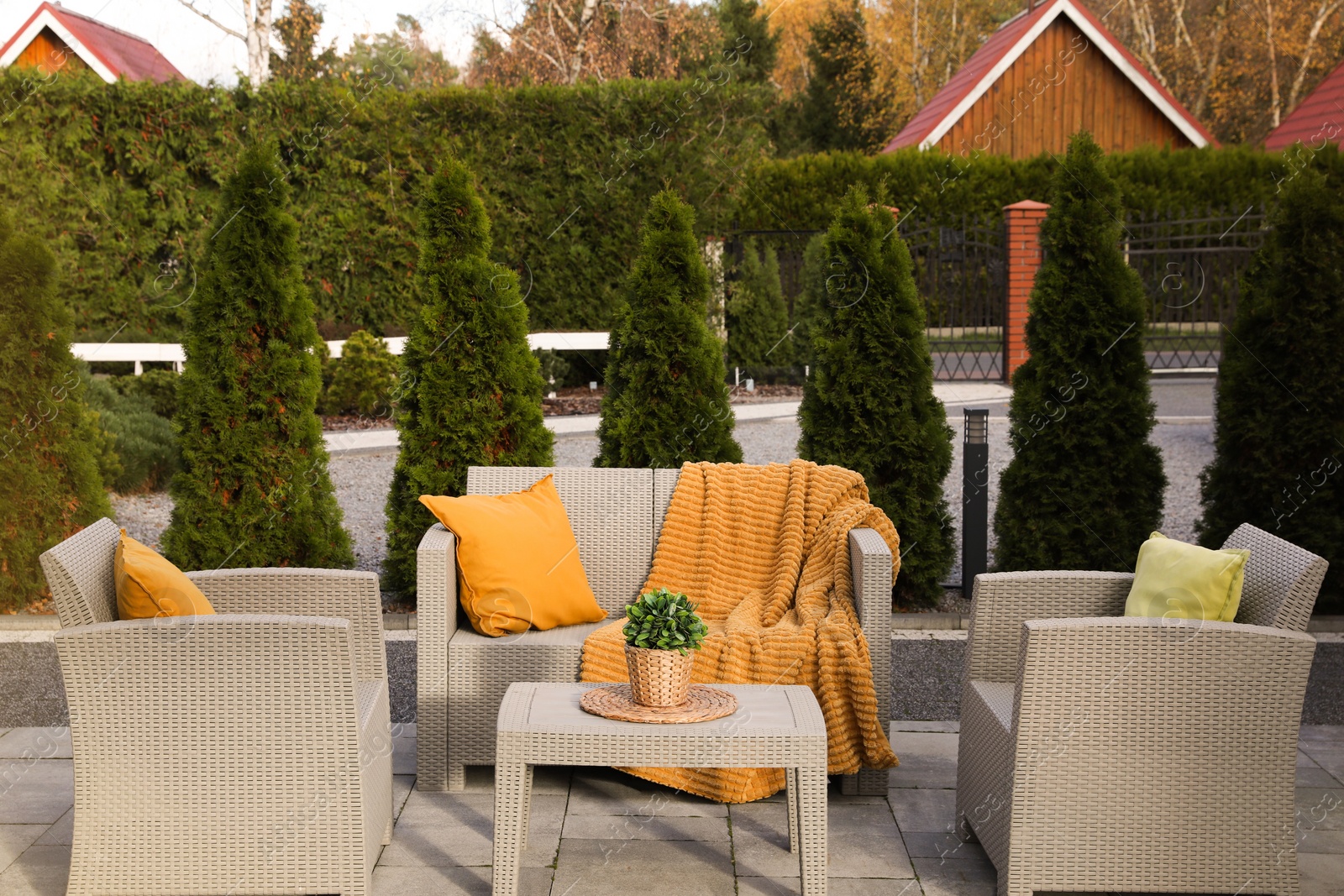 Photo of Beautiful rattan garden furniture, soft pillows, blanket and houseplant in backyard