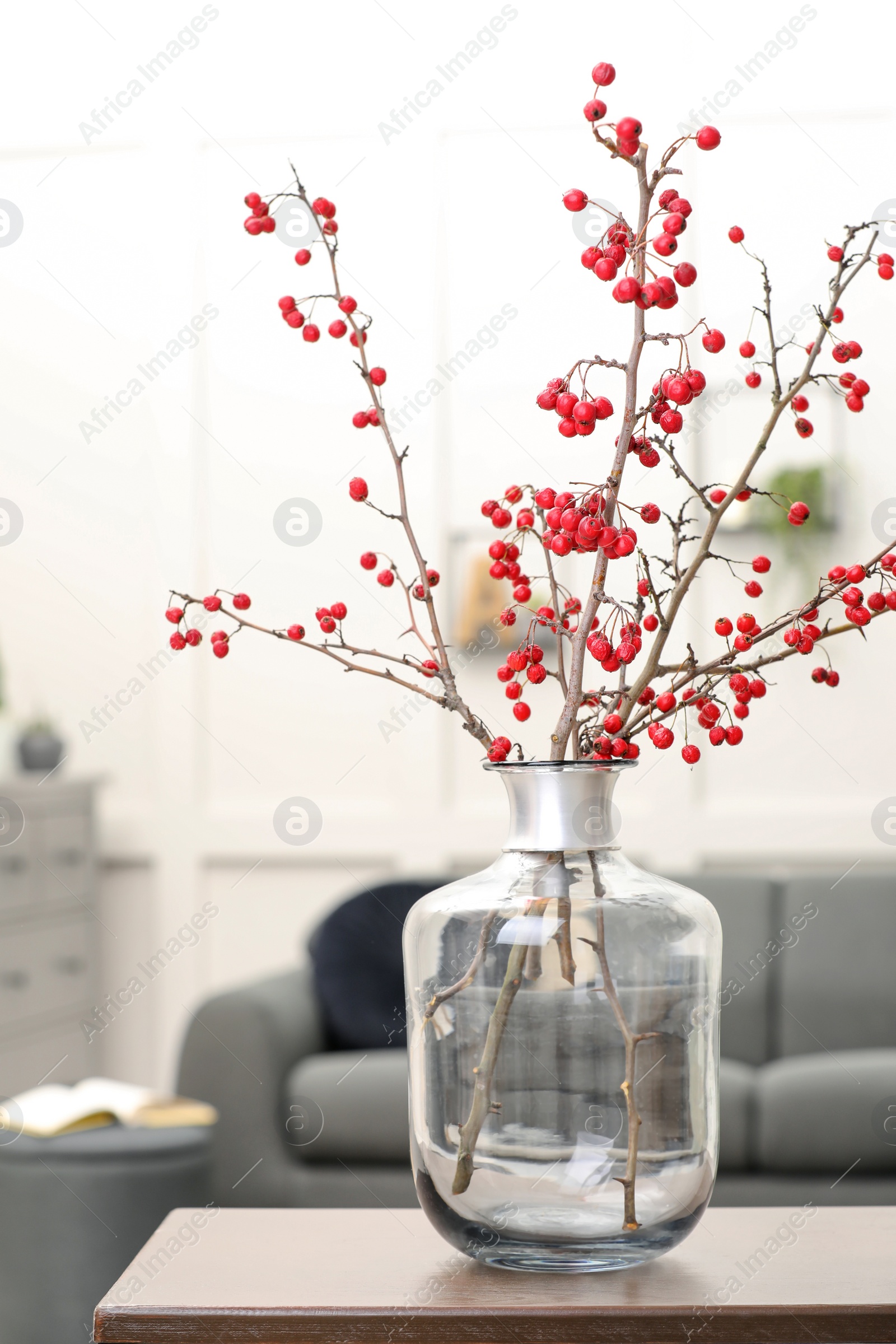 Photo of Hawthorn branches with red berries on table in living room