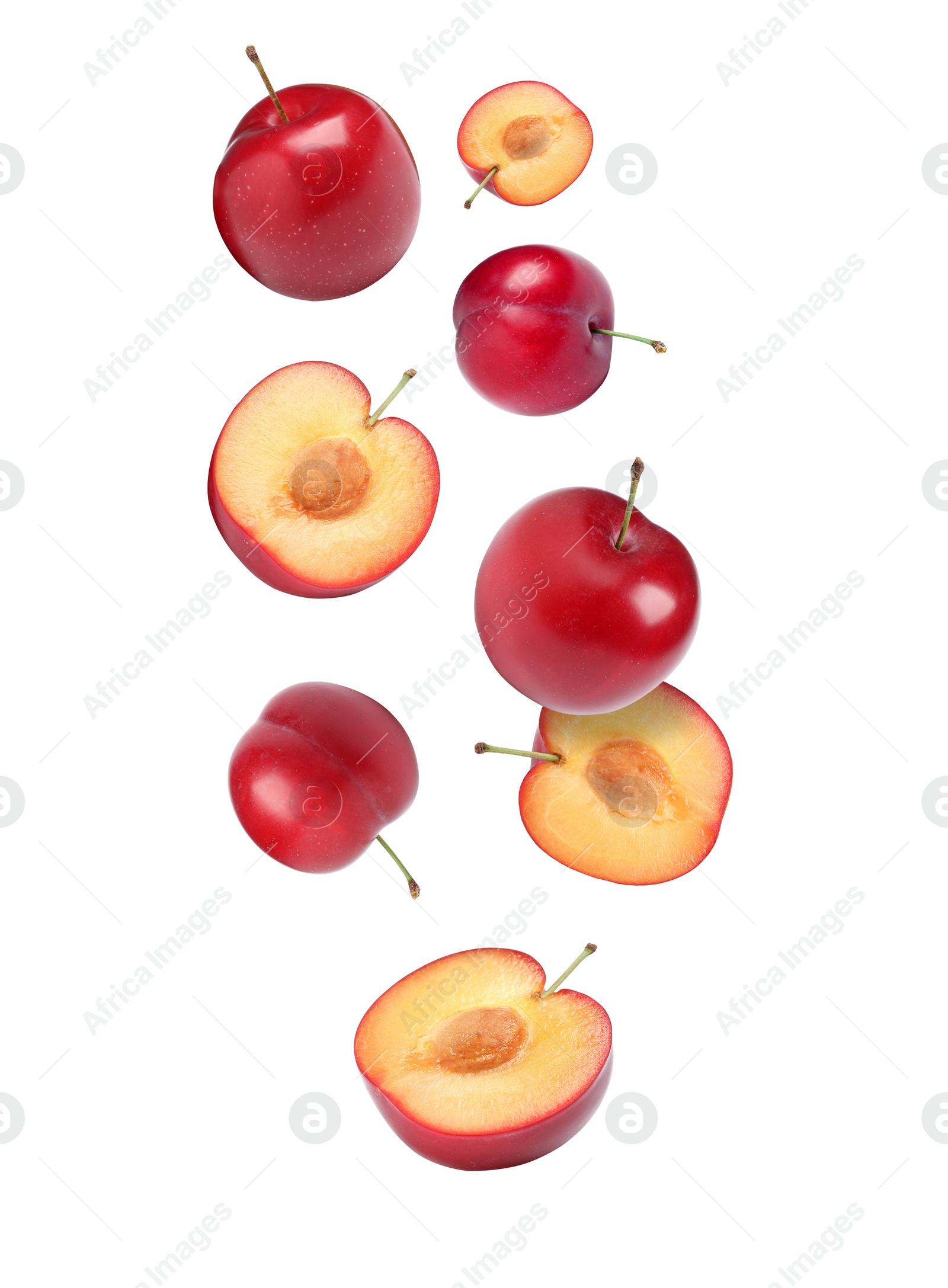 Image of Delicious ripe cherry plums falling isolated on white