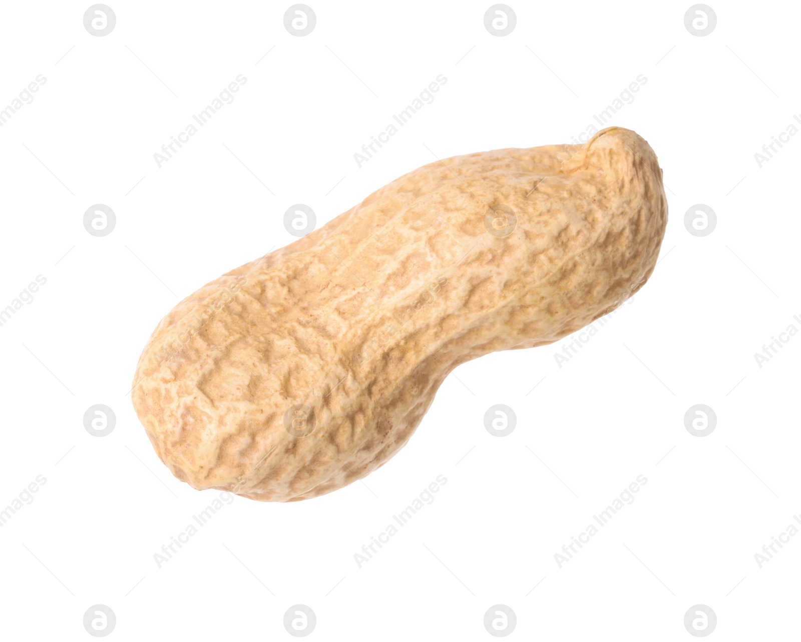 Photo of One fresh unpeeled peanut isolated on white