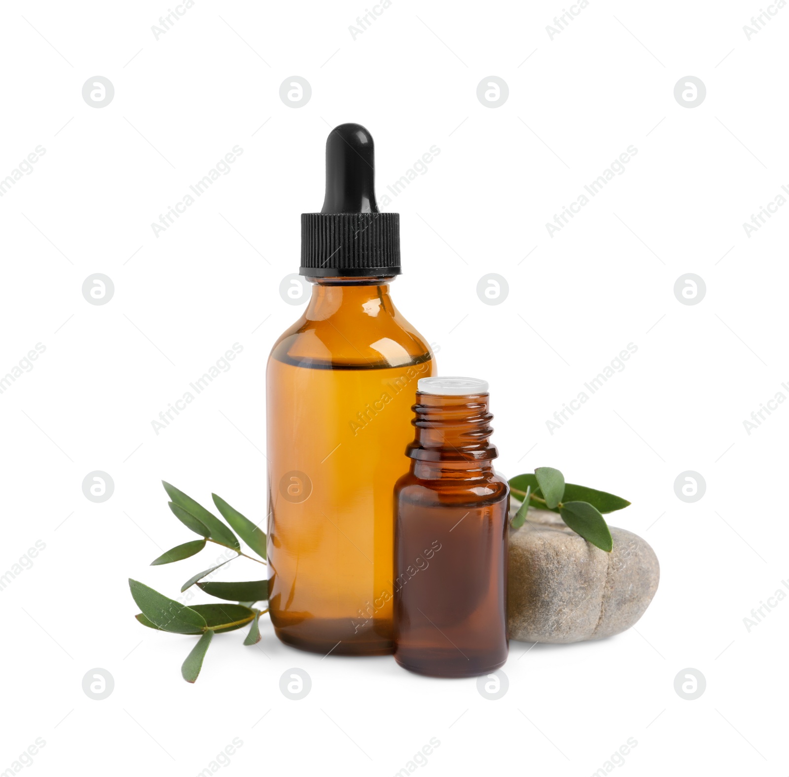 Photo of Bottles of eucalyptus essential oil, stone and plant branches on white background