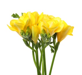 Bouquet of fresh freesia flowers isolated on white