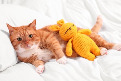 Photo of Cute ginger cat with crocheted bunny resting on bed