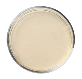 Petri dish with color liquid sample on white background, top view