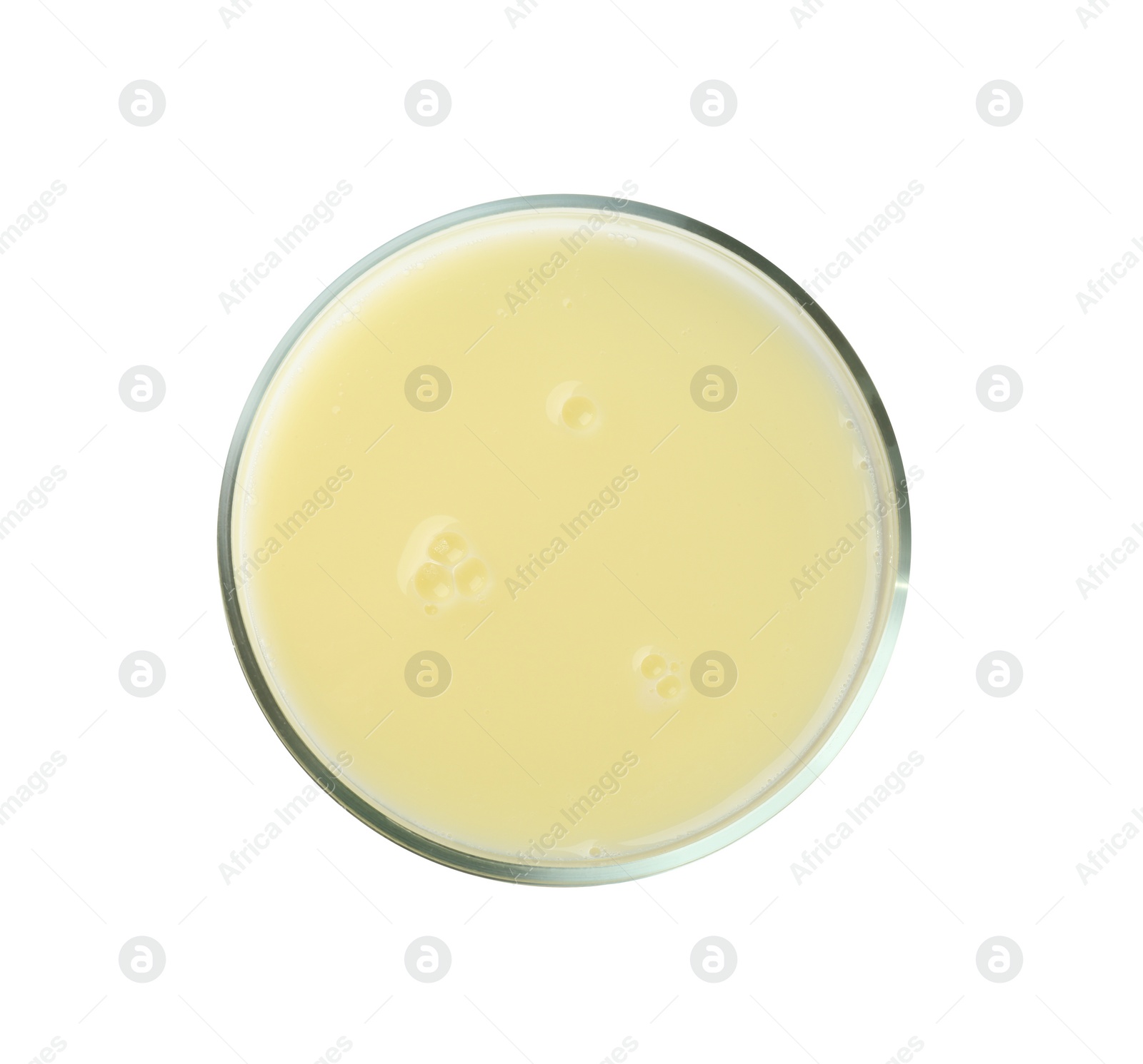 Photo of Petri dish with yellow liquid sample on white background, top view