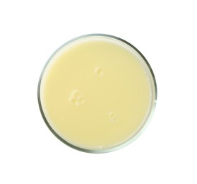 Petri dish with yellow liquid sample on white background, top view