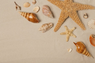 Photo of Flat lay composition with sea shells, starfishes and space for text on beach sand
