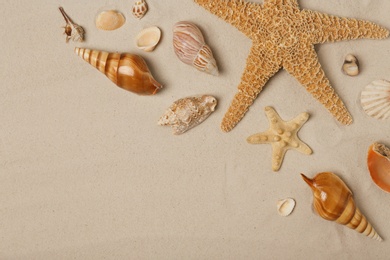 Flat lay composition with sea shells, starfishes and space for text on beach sand