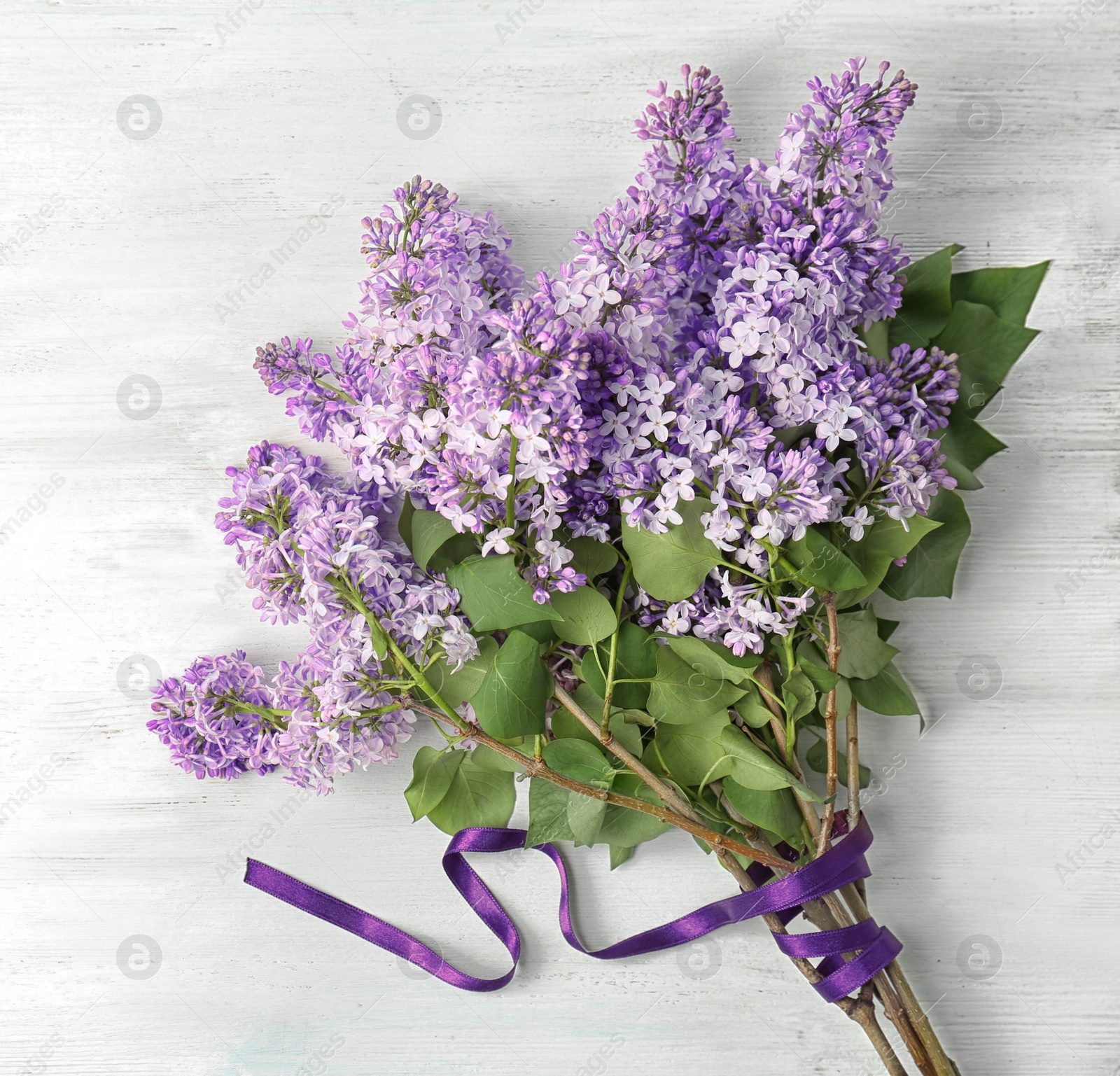 Photo of Beautiful blossoming lilac on light background, top view. Spring flowers