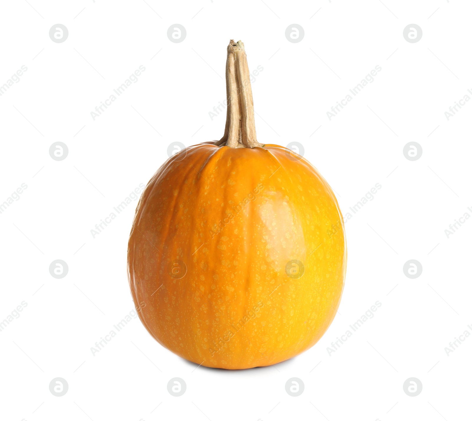 Photo of Fresh raw pumpkin isolated on white. Organic plant