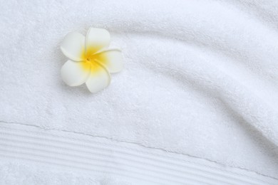 Photo of Plumeria flower on white terry towel, top view. Space for text