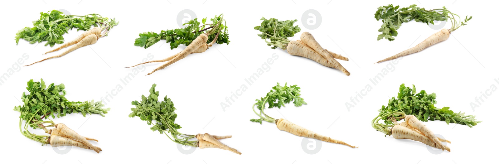 Image of Collage with fresh parsnips on white background