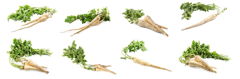 Collage with fresh parsnips on white background