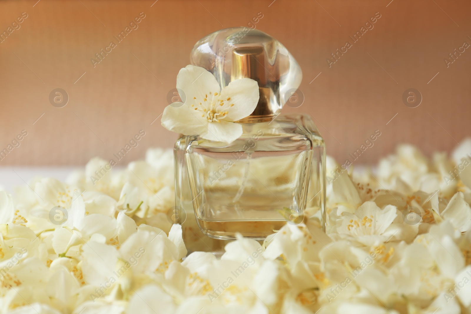 Photo of Bottle of jasmine perfume on white flowers, closeup
