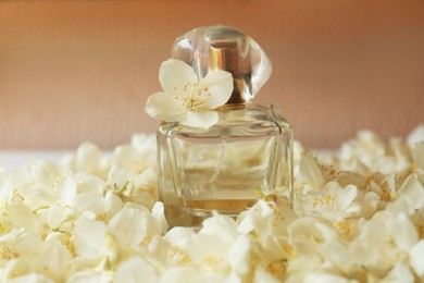 Photo of Bottle of jasmine perfume on white flowers, closeup