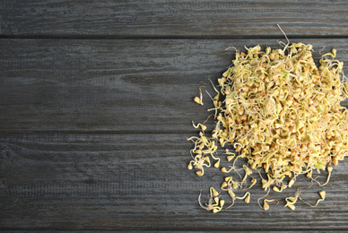 Photo of Pile of sprouted green buckwheat on dark wooden table,flat lay. Space for text