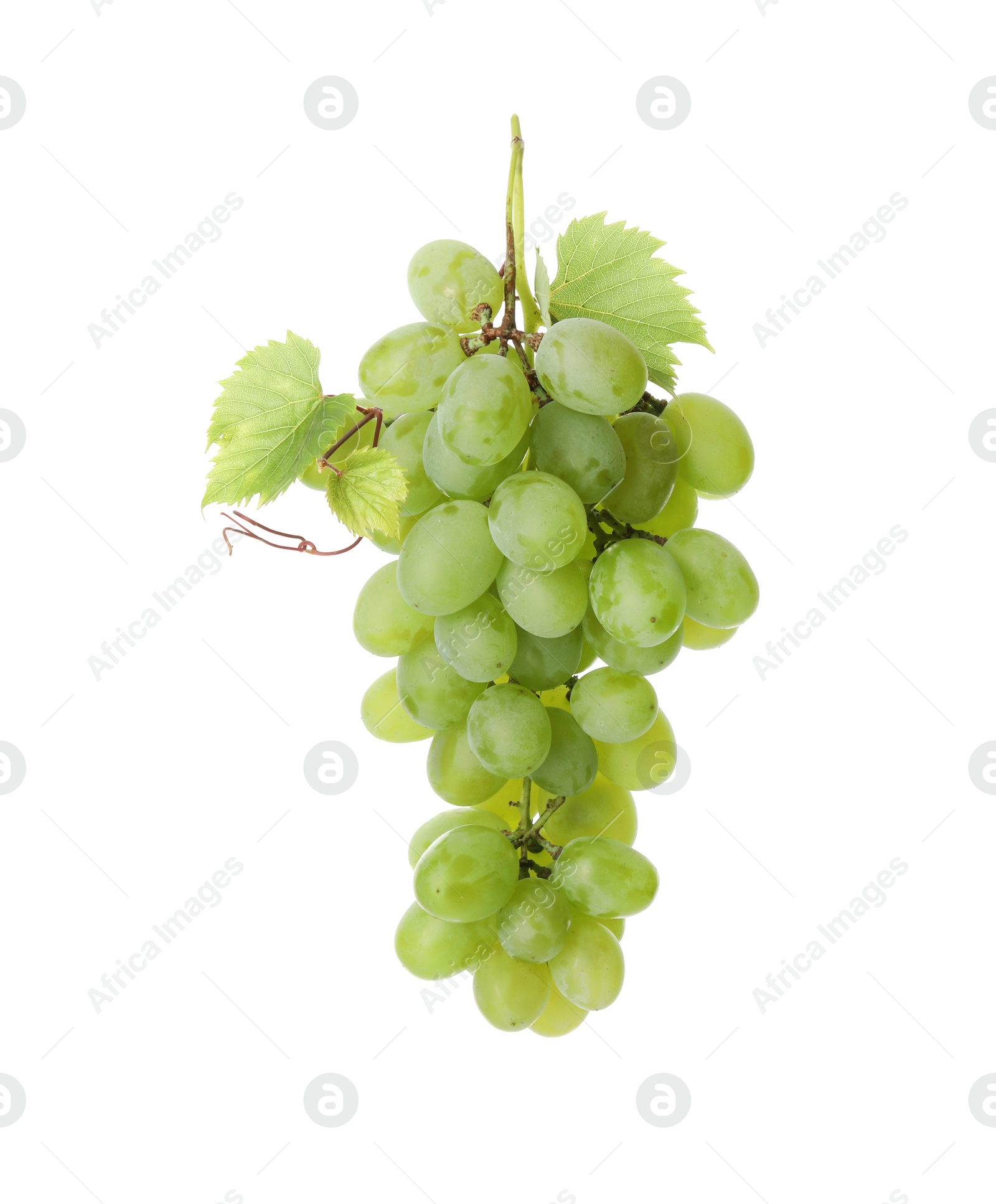 Photo of Fresh ripe grapes and leaves isolated on white