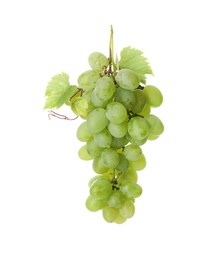 Photo of Fresh ripe grapes and leaves isolated on white