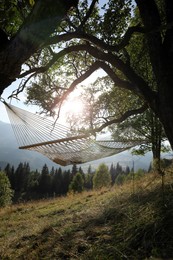 Comfortable net hammock outdoors on sunny day