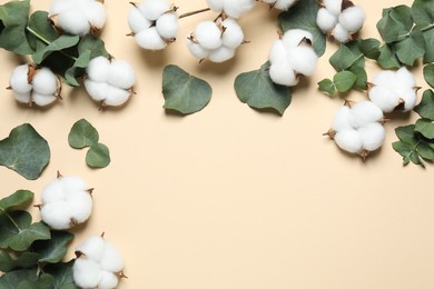Cotton flowers and eucalyptus leaves on beige background, flat lay. Space for text