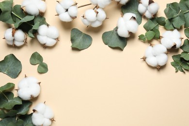 Photo of Cotton flowers and eucalyptus leaves on beige background, flat lay. Space for text