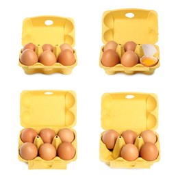 Image of Brown chicken eggs in egg cartons isolated on white, set