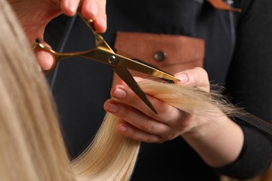 Hairdresser cutting client's hair with scissors in salon, closeup