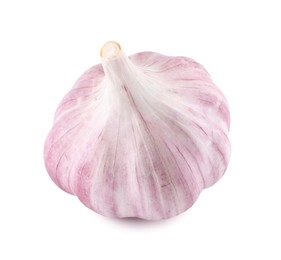 Photo of Fresh raw garlic head isolated on white