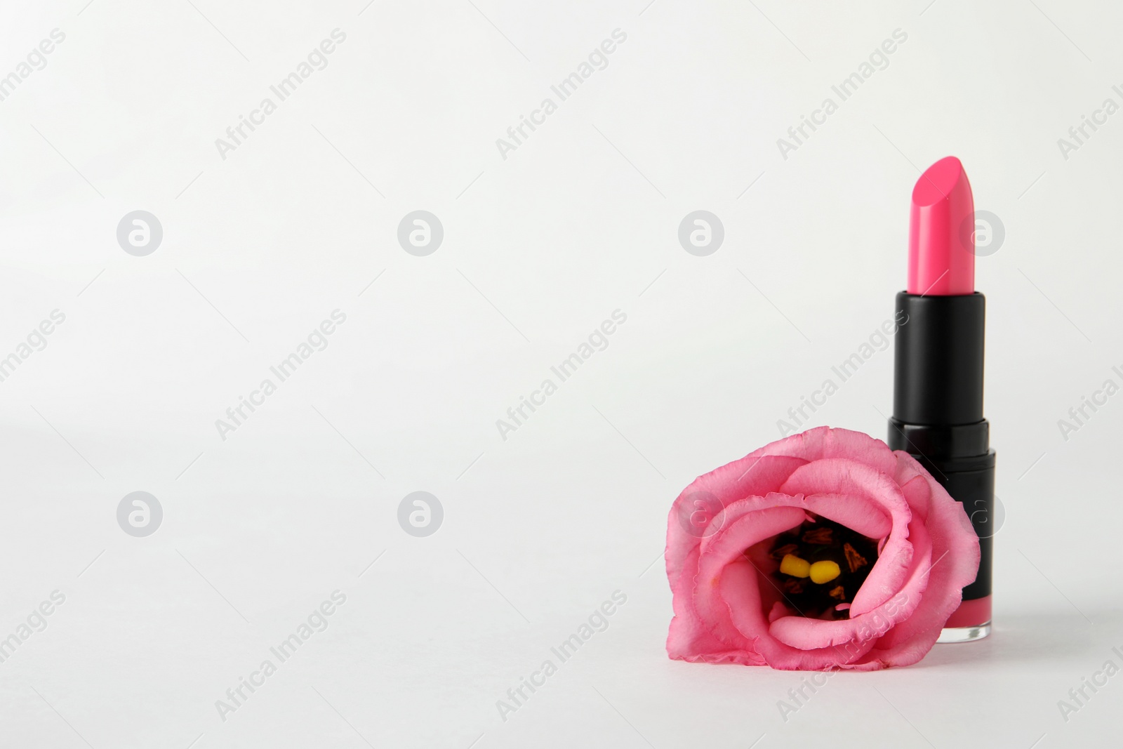 Photo of Beautiful pink lipstick and rose on white background, space for text