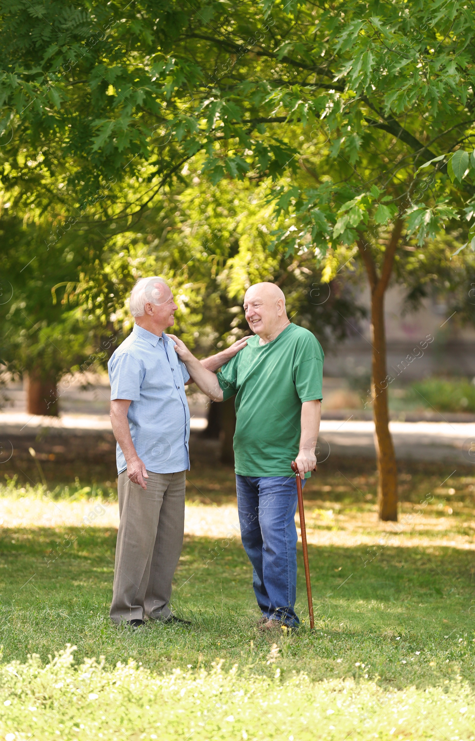 Photo of Elderly men spending time together in park