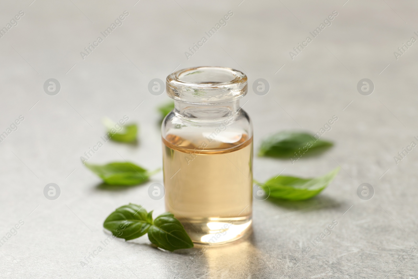 Photo of Glass bottle of basil essential oil and leaves on light grey table, closeup