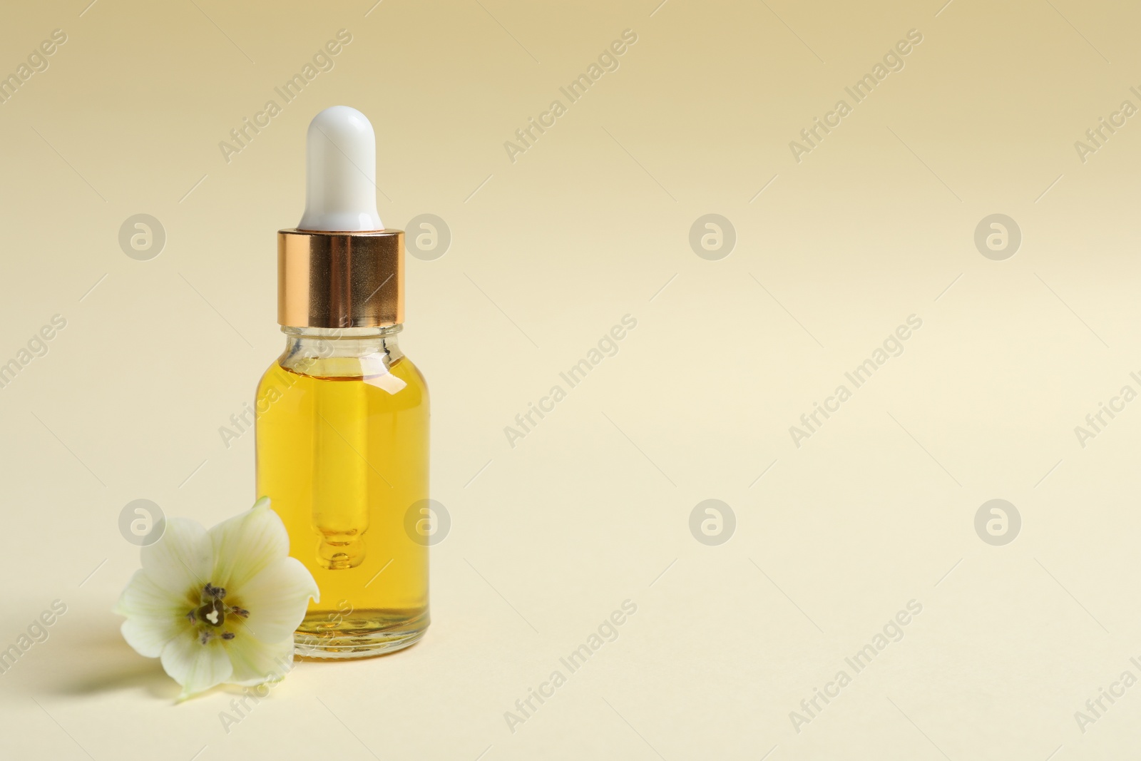 Photo of Bottle with cosmetic oil and flower on beige background. Space for text
