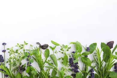 Many different aromatic herbs on white background, flat lay. Space for text