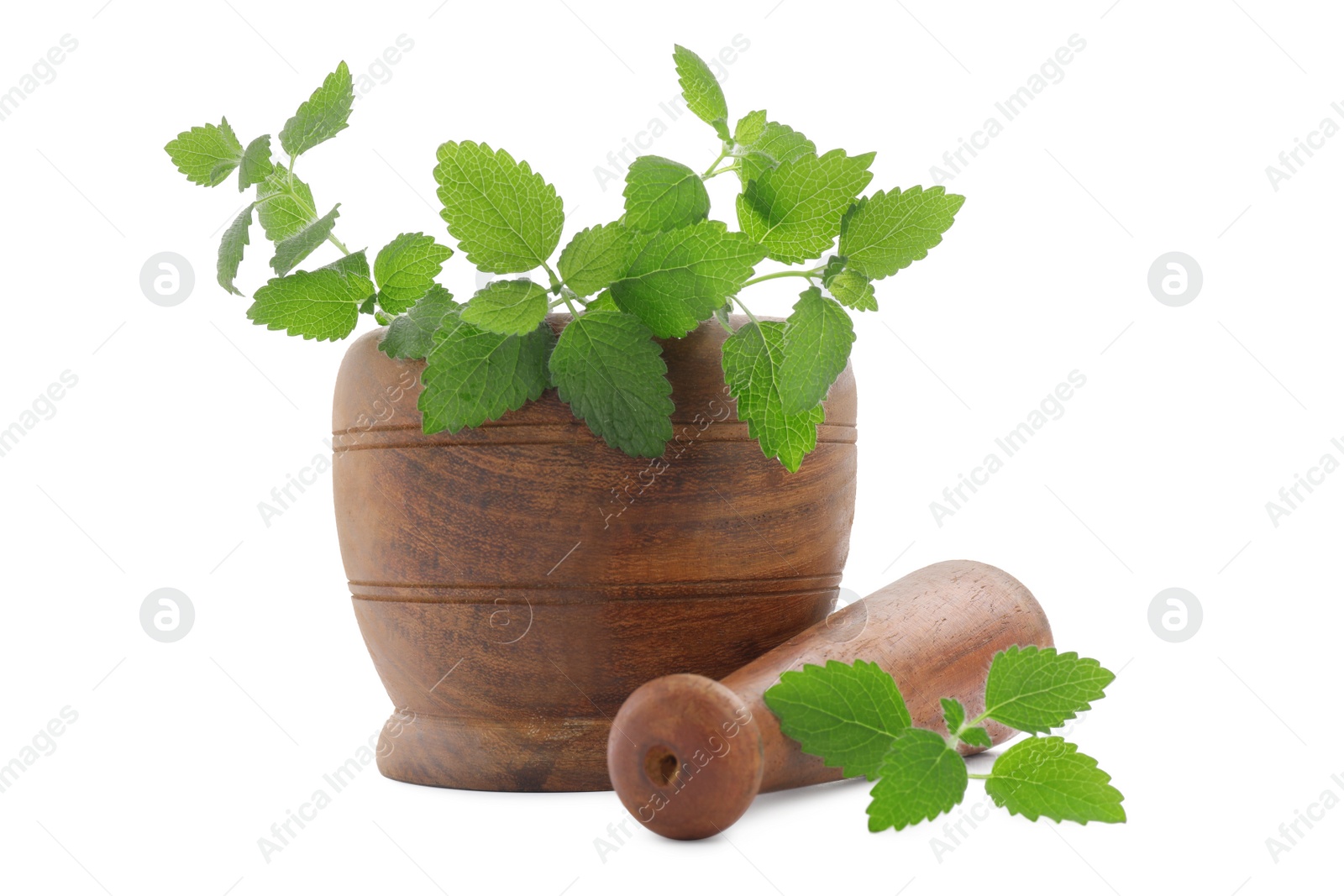 Photo of Wooden mortar with pestle and fresh green lemon balm leaves isolated on white