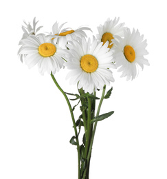 Photo of Bouquet of beautiful chamomile flowers on white background